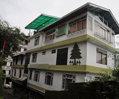 Juniper Tree Hotel